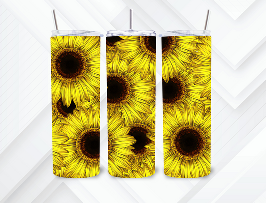 Sunflower 7